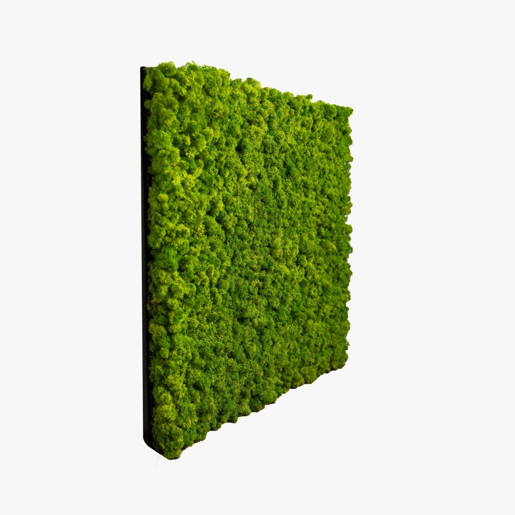 akupanel-apple-green-side