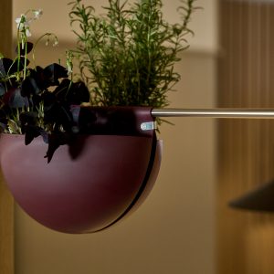 Vaso sospeso WoodUpp color borgogna opaco a semisfera, appeso a un'asta metallica tramite una clip in acciaio con logo WoodUpp. Contiene erbe aromatiche verdi e trifoglio scuro; dettaglio del bordo e della fessura di drenaggio visibile, stile minimal e moderno.